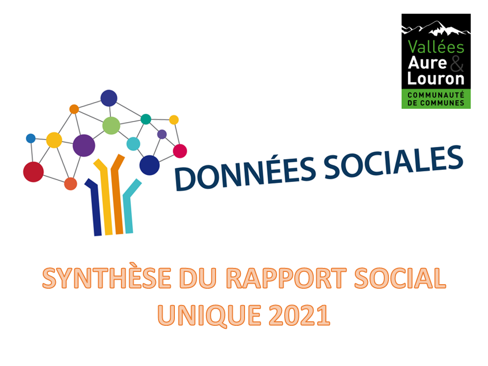 Synthèse du rapport social unique 2021